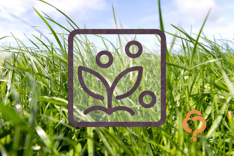 At a glance: Crop fertiliser