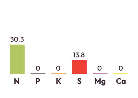 Ammo 31 Pro component graph