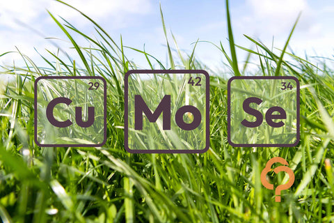 At a glance: Trace elements explained