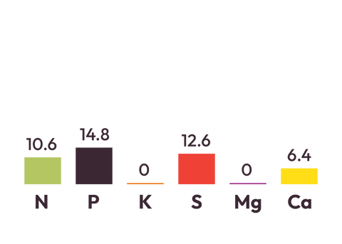 DAP 13 S components graph