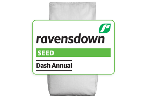 Dash Annual Ryegrass