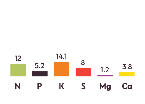Nitrophoska Extra (20kg Bag)