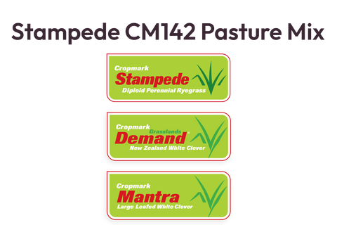 Stampede CM142 Pasture Mix