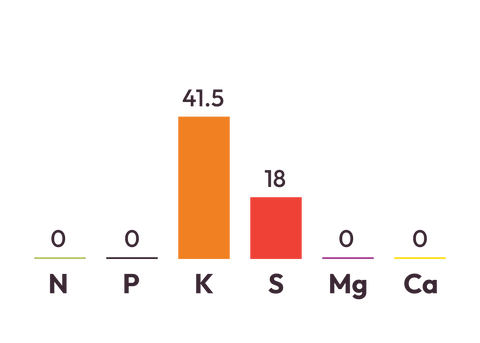 SOP component graph