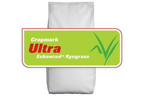 Ultra® AR1 Perennial Ryegrass