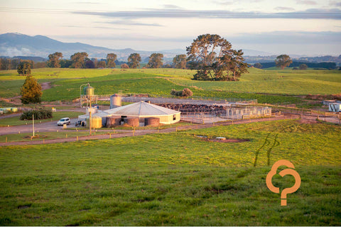 Understanding maintenance fertiliser