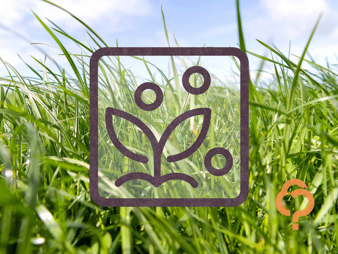 Soil testing with ARL – Resupply
