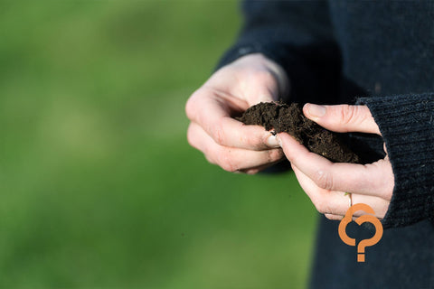 At a glance: Which soil test is best?