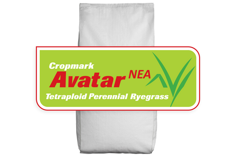 Avatar NEA Tetraploid Bare