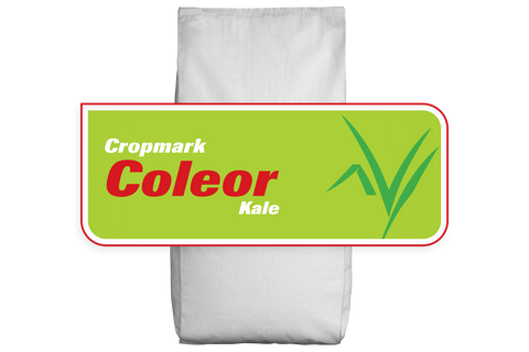 Coleor Kale