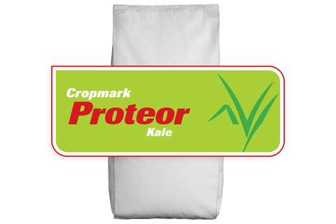Proteor Kale